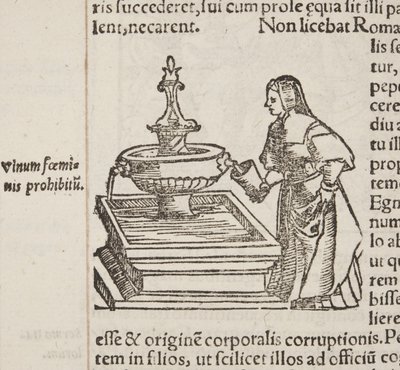 Cosmographia, detail van Fol 202 door Sebastian Munster