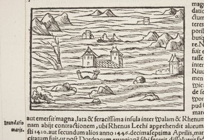 Cosmographia, detail door Sebastian Munster