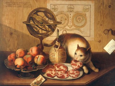 Stilleven met kat door Sebastiano Lazzari