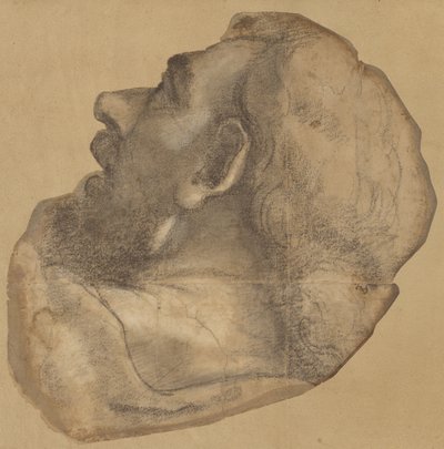  door Sebastiano del Piombo