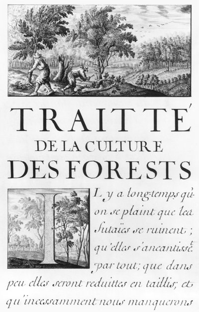 Ms 260 tome IV Frontispice van 