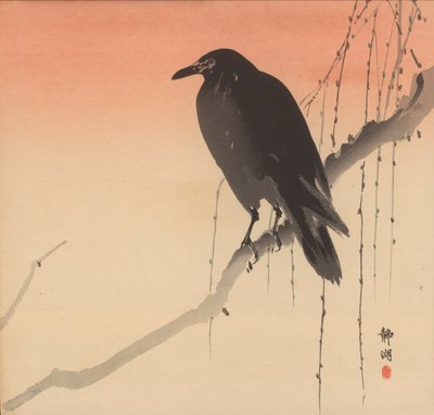 Zwarte kraai op een wilgentak door Seiko Okuhara