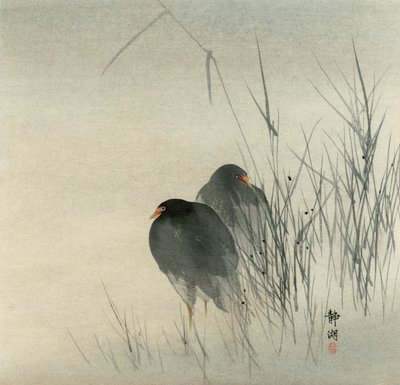 Twee waterhoentjes in mistige rietvelden door Seiko Okuhara