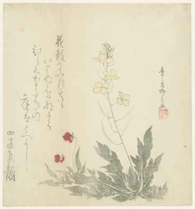 Bloeiende planten door Seiseikyo Ryûshi