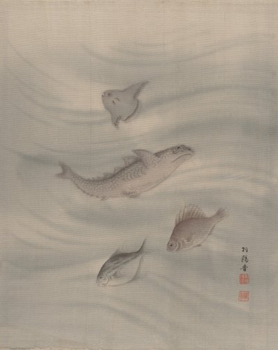 Vissen, ca. 1890-1892 door Seki Shuko