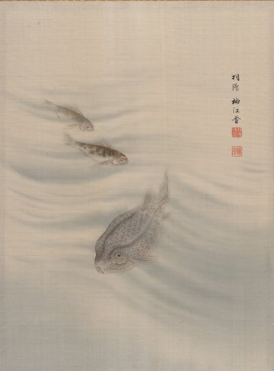 Vissen, ca. 1890-92 door Seki Shuko