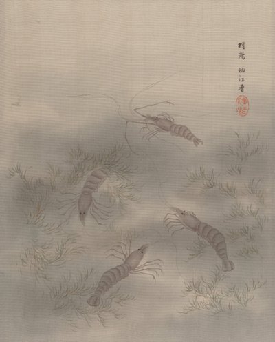 Garnaal Ebi, ca. 1890-92 door Seki Shuko