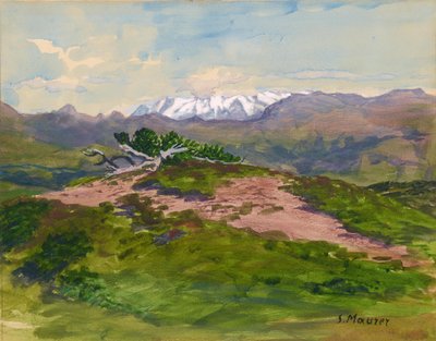 Wandelpad in de bergen met uitzicht op de Zillertaler Alpen door Serafin Maurer