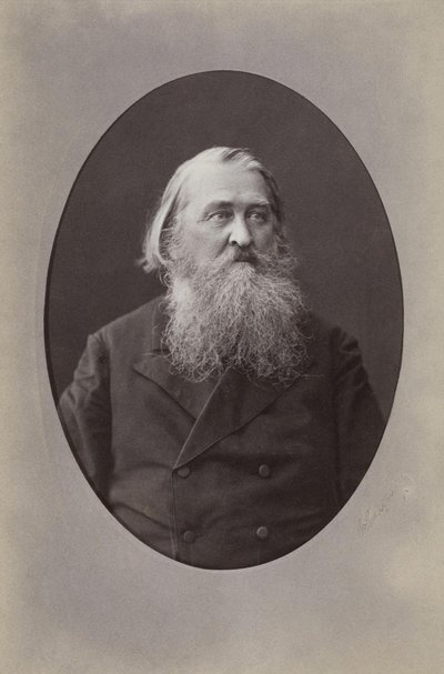 Portret van de dichter Aleksey Nikolayevich Pleshcheyev 1825-1893, 1870 door Sergei Lvovich Levitsky