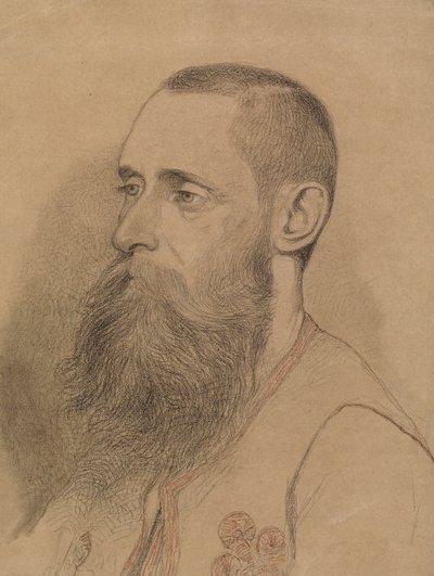 Portret van een man met baard door Severin Falkman