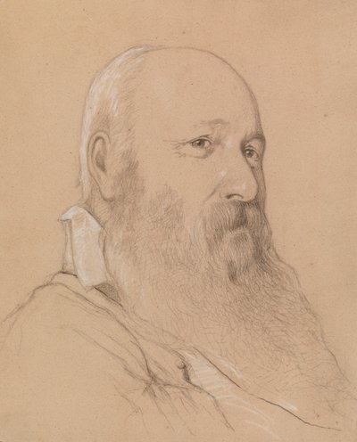 Portret van een man met baard door Severin Falkman