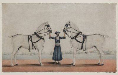 Een Syce (Koetsier) met Twee Koetspaarden, c.1845 door Shaik Muhammad Amir of Karraya (attr. to)