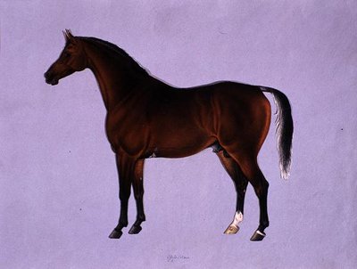 Oppidan, ca. 1840 door Shaik Muhammad Amir of Karraya