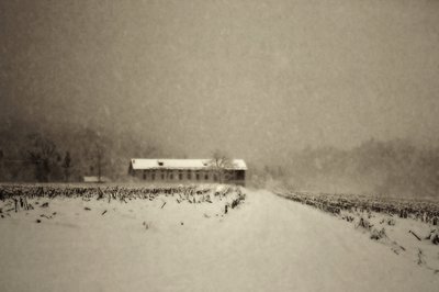  door Sheila Bernard