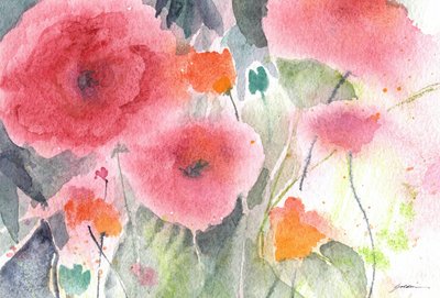 Roze papavers in aquarel door Sheila Golden