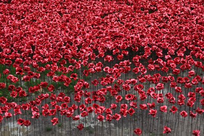 Blood Swept Lands and Seas of Red, Tower of London, 2014 door Sheldon Marshall