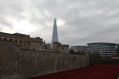 Blood Swept Lands and Seas of Red, Tower of London, 2014 door Sheldon Marshall
