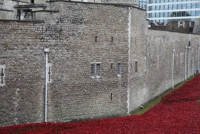 Blood Swept Lands and Seas of Red, Tower of London door Sheldon Marshall