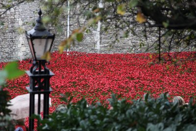 Blood Swept Lands and Seas of Red, Tower of London door Sheldon Marshall