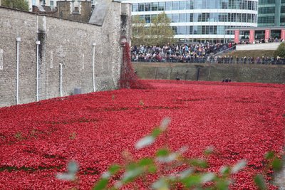Bloed doordrenkte landen en zeeën van rood, Tower of London, 2014 door Sheldon Marshall