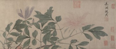 Bloemen van de Vier Seizoenen door Shen Zhou