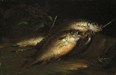 Vis, 1842 door Shepard Alonzo Mount