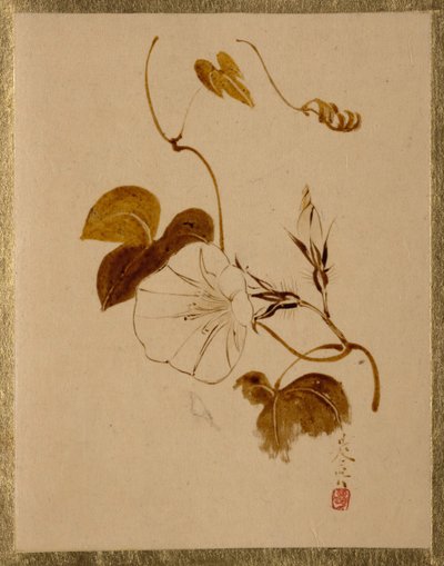 Ochtendglorie door Shibata Zeshin