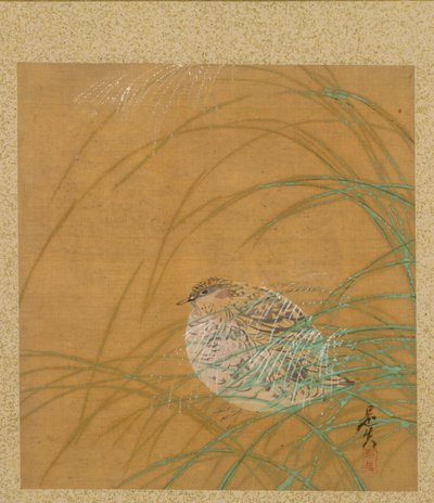Kwartel in gras uit Album van Schilderijen door Shibata Zeshin
