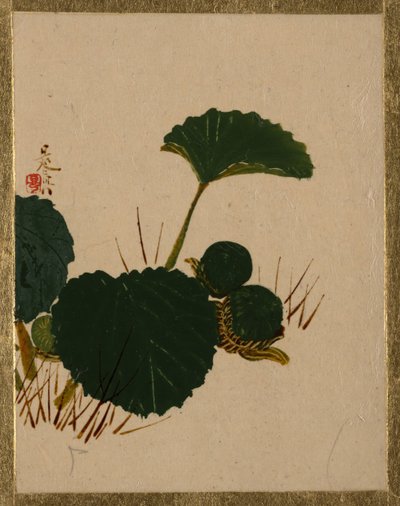 Rups op Groene Bladplant door Shibata Zeshin