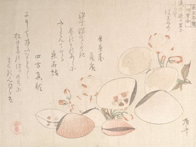 Kersenbloesems en schelpen door Shinsai
