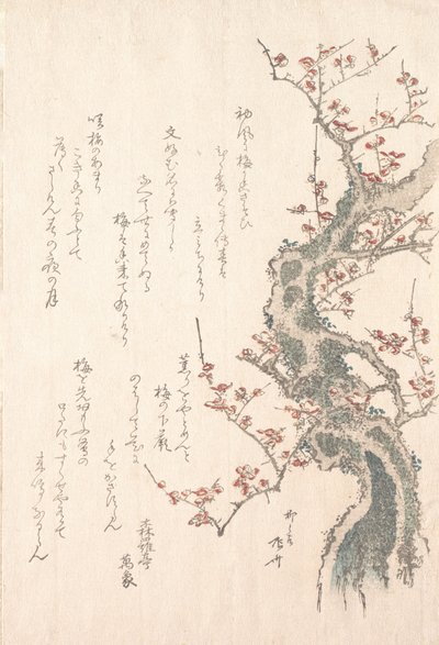 Lente regen collectie Harusame shu, vol. 1: Pruimenboom in bloei, ca. 1805-10 door Shinsai