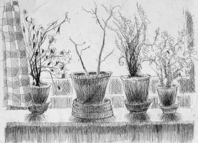 Dode planten op een vensterbank door Shirley Markham