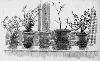 Dode planten op een vensterbank, 1952 door Shirley Markham