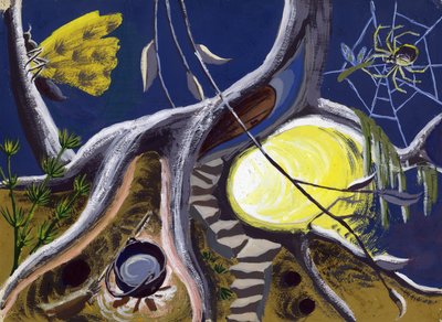 Heksenketel en Spinrag, ca. 1950 door Shirley Markham