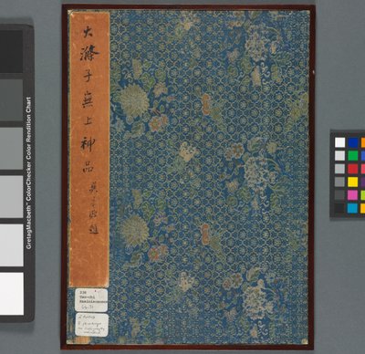 Herinneringen aan de Qinhuai-rivier, Qing-dynastie door Shitao Daoji