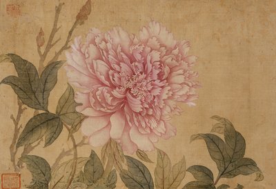 Pioenroos, Blad uit een Album van Bloemschilderingen door Shouping Yun
