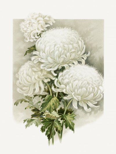 Mevrouw Alpheus Hardy door Sidney Thomas Callowhill