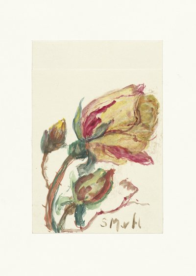 Roos door Sientje Mesdag van Houten