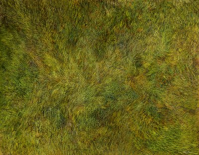 Homogene Dynamiek door Silvian Sternhagel
