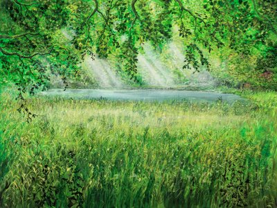 Naturschirm door Silvian Sternhagel