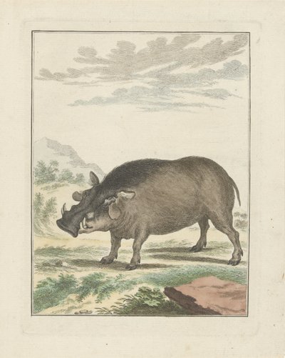 Afrikaans Boszwijn door Simon Fokke