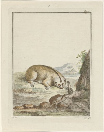Luiaard door Simon Fokke