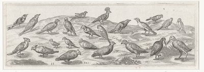 Landschap met verschillende soorten vogels Vogels en insecten (serie titel) door Simon Frisius