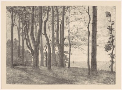 Bomen aan water met zeilboten door Simon Moulijn