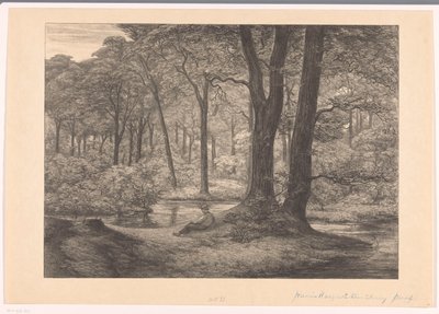 Gezicht op de Hunnenschans op de Veluwe De hunnenschans door Simon Moulijn