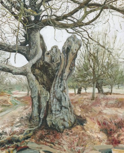 Oude boom, Richmond Park, 2018 (olieverf op linnen) door Simon Neville