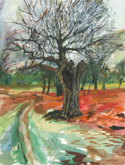 Oude boom, Richmond Park door Simon Neville