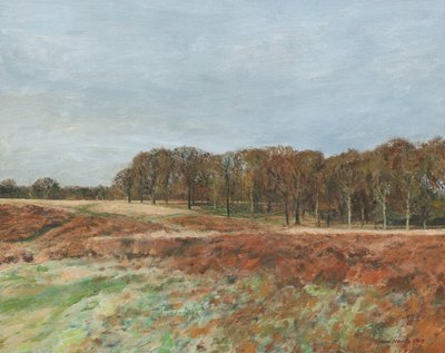 Richmond Park, 2019 (olieverf op doek) door Simon Neville