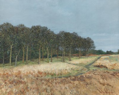 Bos, Richmond Park, 2019 (olieverf op doek) door Simon Neville
