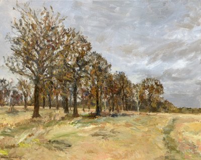 Bos, Richmond Park nr. 6, 2022 door Simon Neville
